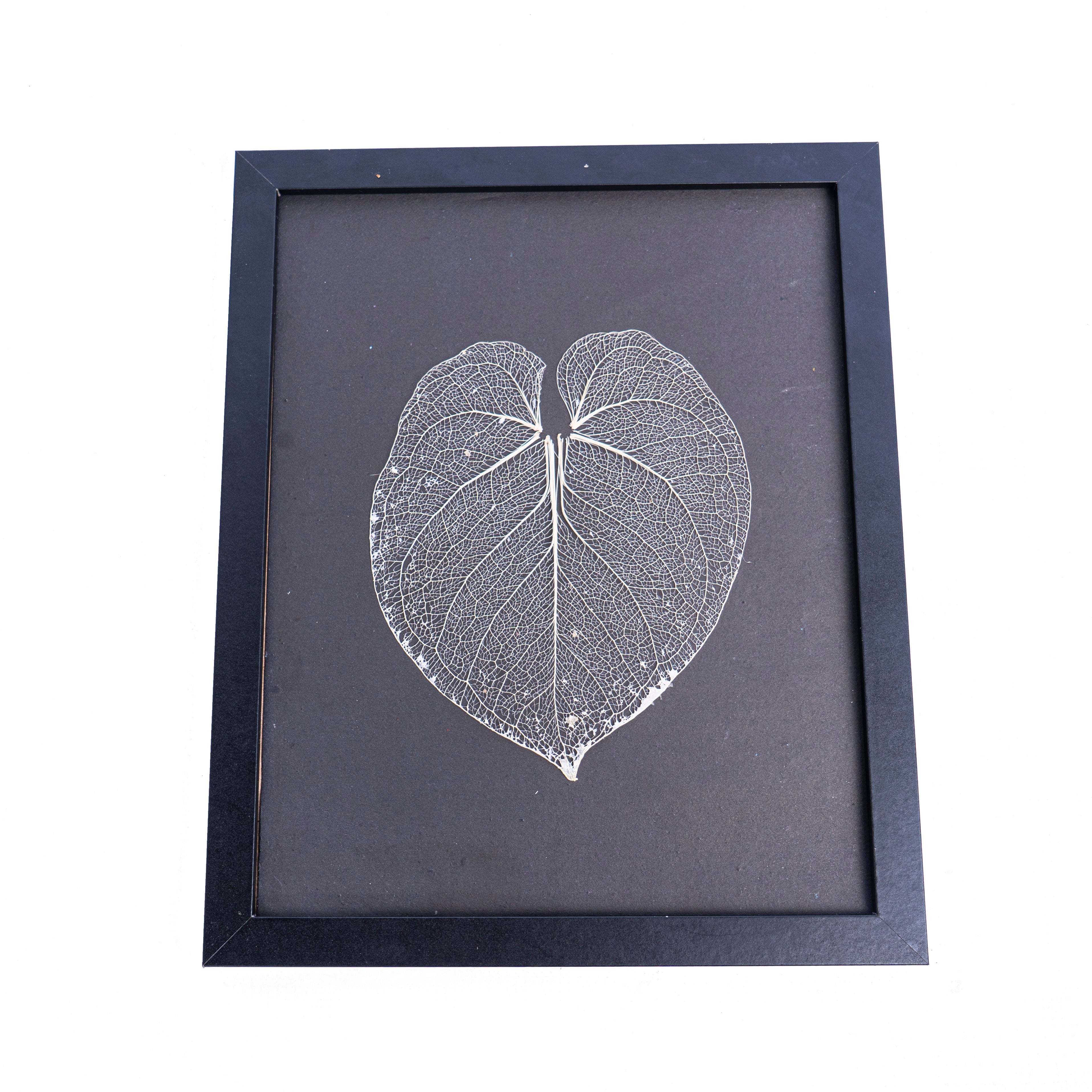 Leaf Skeleton