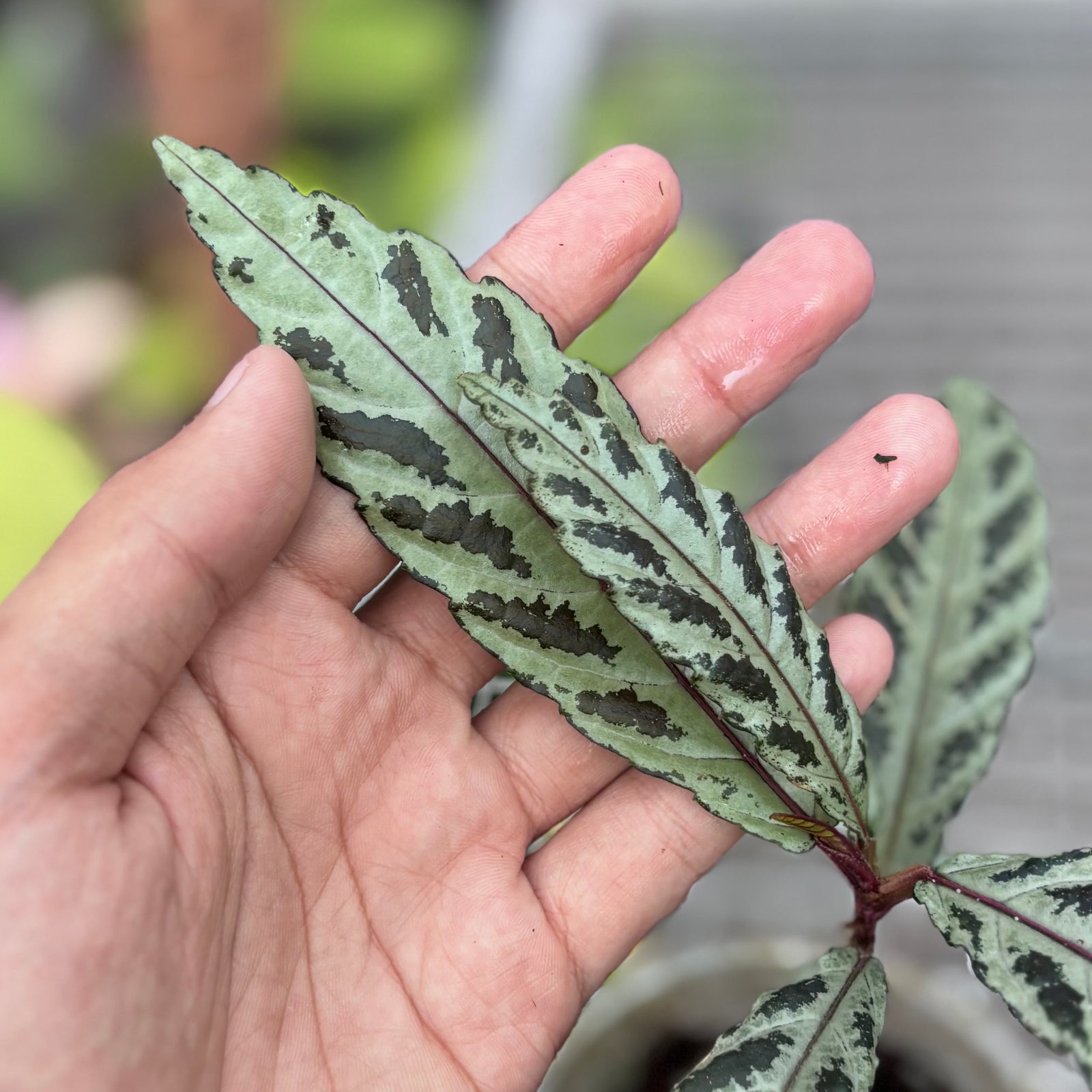 3D659925-107A-4574-BEBB-