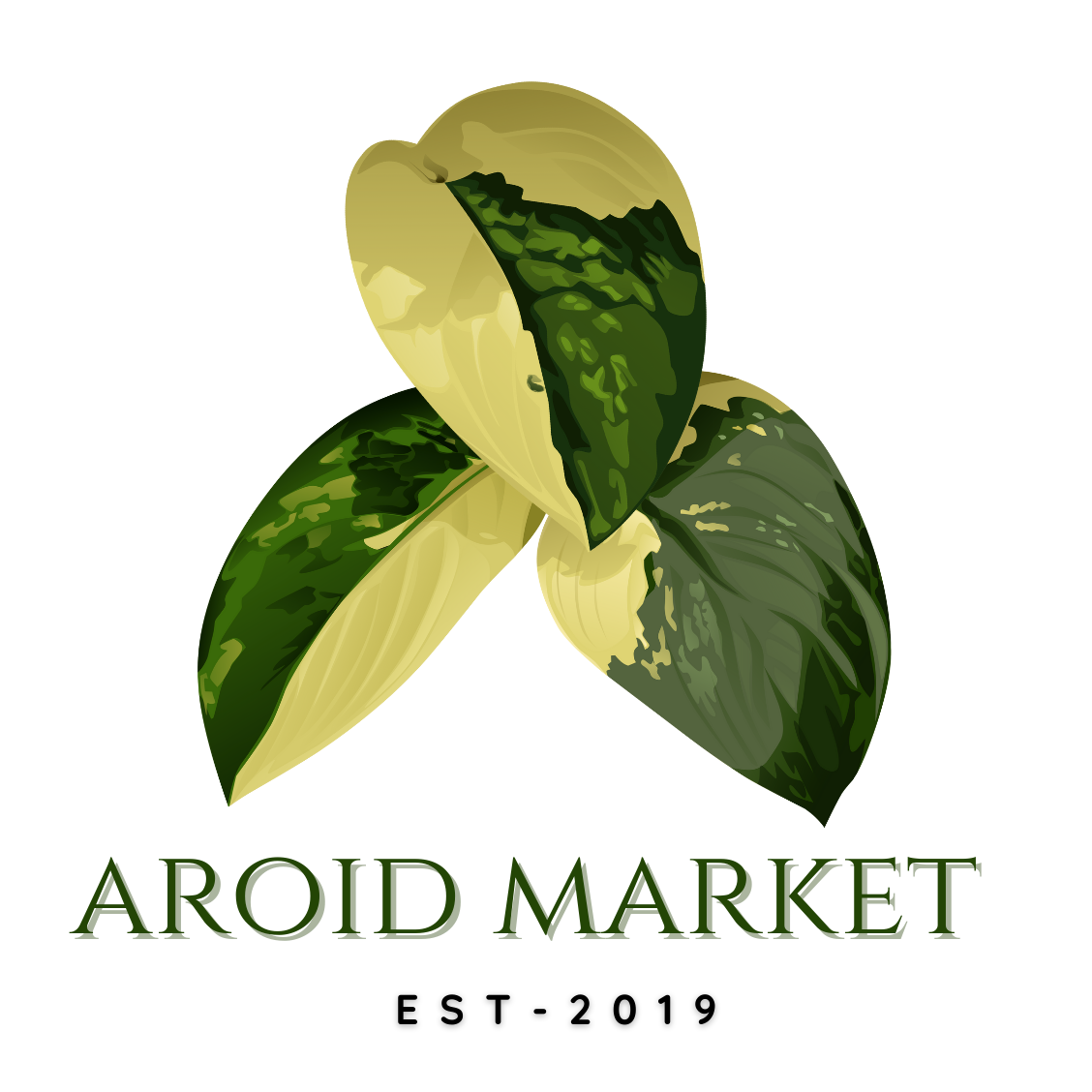 Aroid Market